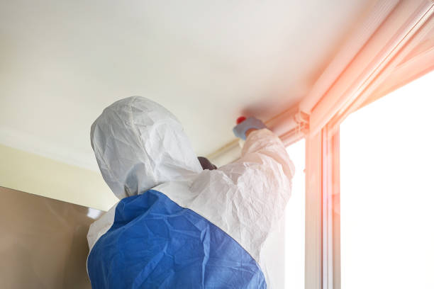 Best Residential Mold Inspection & Testing  in Newton, IL