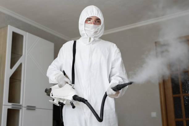 Best Industrial Mold Remediation  in Newton, IL